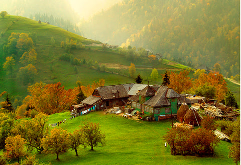 Eva's Hungarian Heritage