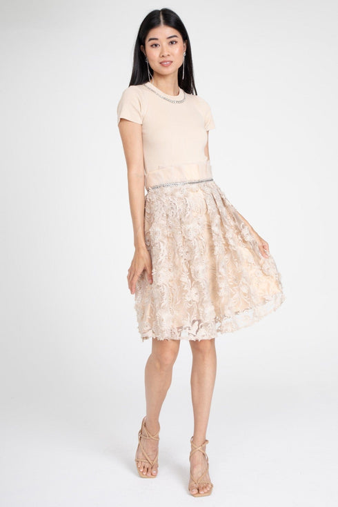 Dorothy Dress with Jeweled Neckline - Bloomsfield