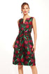 Alexa Dress - Roses and Thorns