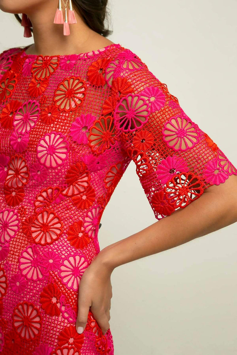 eva franco rosa lace dress Eva Franco Lace Cocktail Dress In Pink