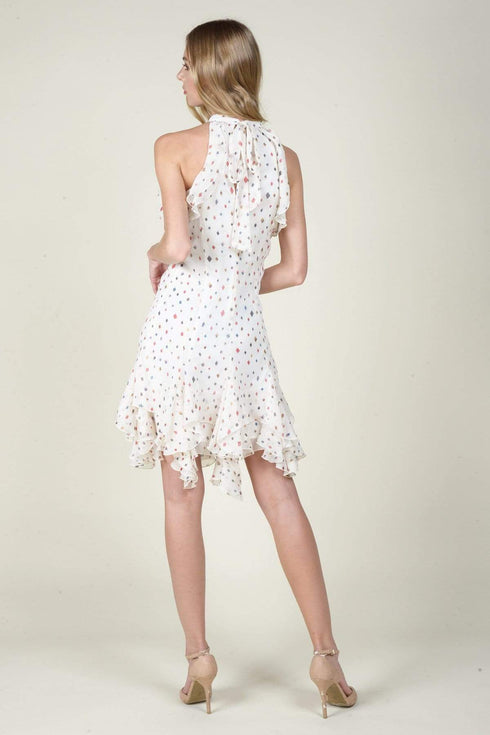 Greda Chiffon  Dress - Funfetti Print
