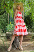 Nixi Dress - Picnic Plaid