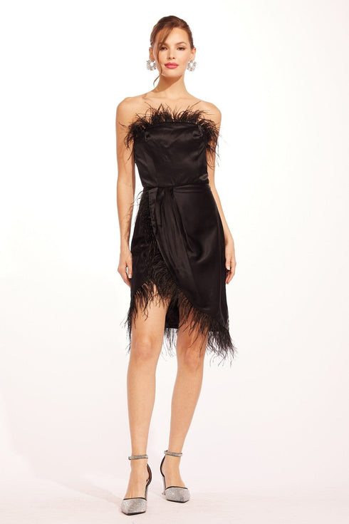 Nolitan Dress - Black Swan
