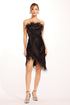 Nolitan Dress - Black Swan