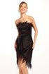 Nolitan Dress - Black Swan