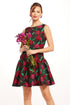 Roxy Mini Dress - Roses and Thorns
