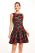 Roxy Mini Dress - Roses and Thorns