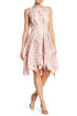 Samantha Dress - Palm Lace in Blush