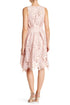 Samantha Dress - Palm Lace in Blush