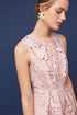 Samantha Dress - Palm Lace in Blush