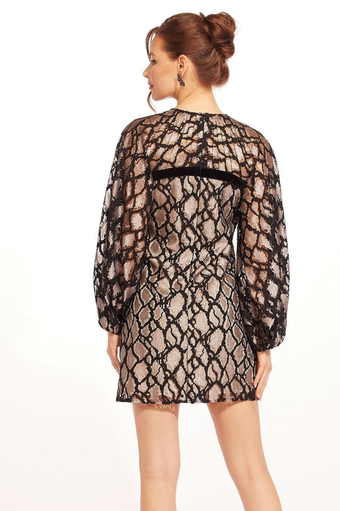 Scala Dress - Luster Glass