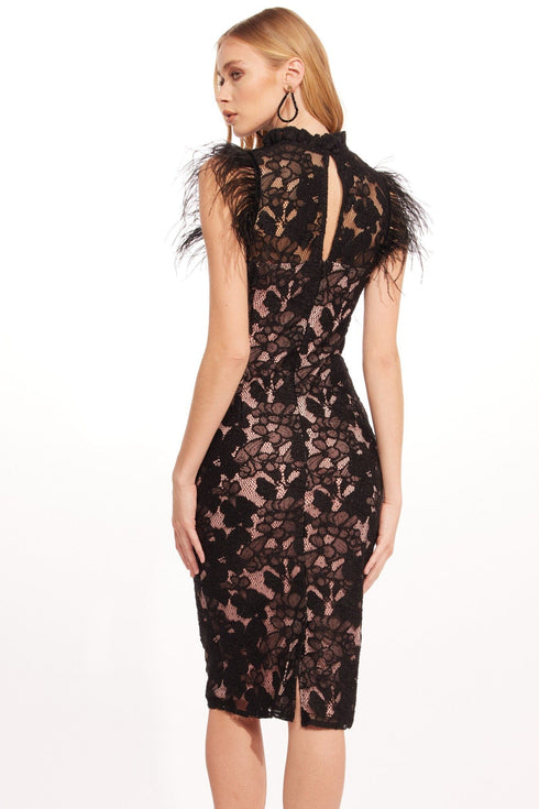 Stellen Dress – Euphoria Lace