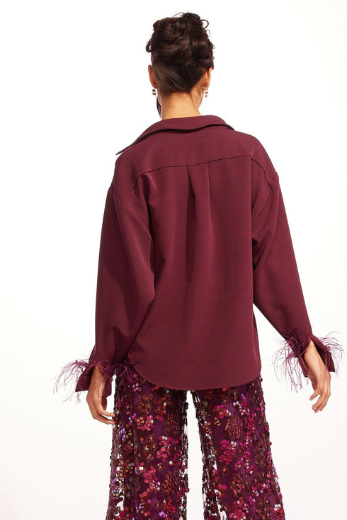 Dolvan Top - Feather Sleeves